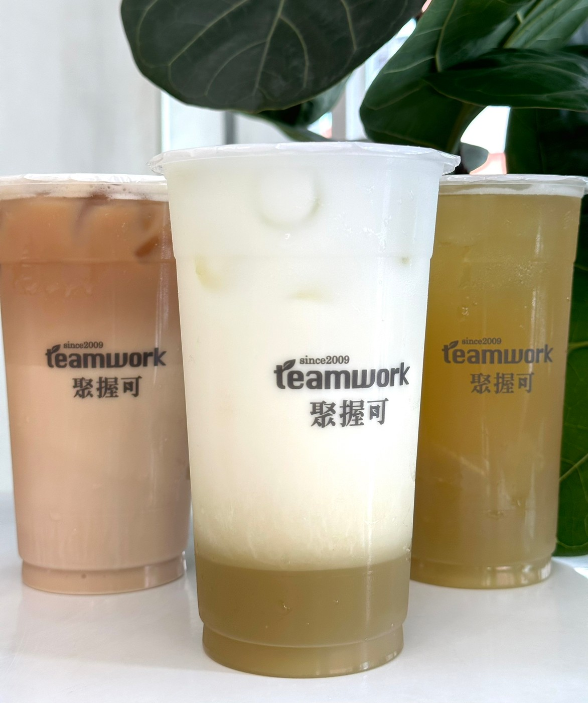 台南手搖飲|這家只有台南喝得到!聚握可茶飲.質感系甘蔗飲品|限量甘蔗凍口感脆啵|甘蔗牛奶必點!香濃柔綿超好喝♡台南手搖飲推薦 台南手搖飲|這家只有台南喝得到!聚握可茶飲.質感系甘蔗飲品|限量甘蔗凍口感脆啵|甘蔗牛奶必點!香濃柔綿超好喝♡台南手搖飲推薦