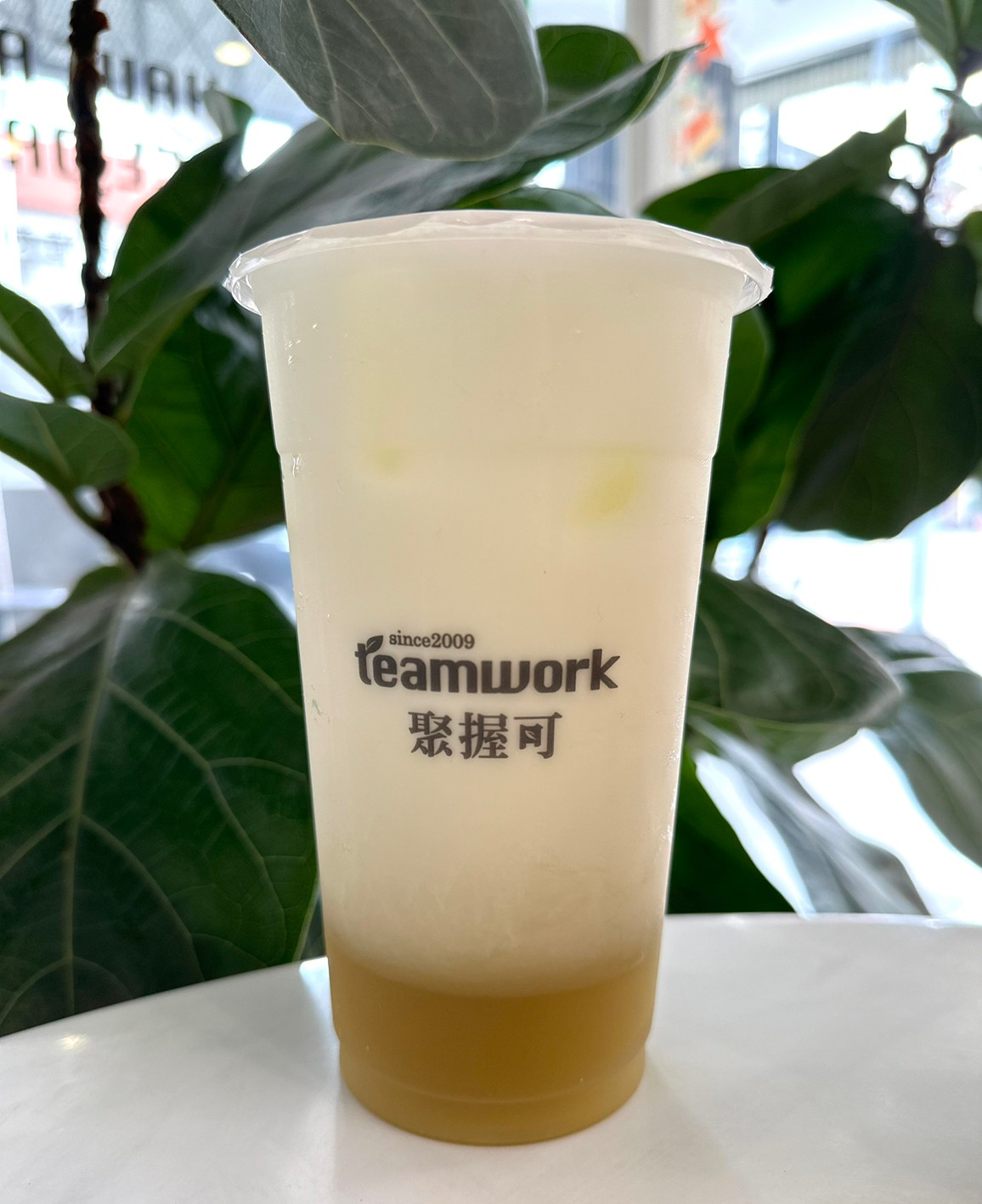 台南手搖飲|這家只有台南喝得到!聚握可茶飲.質感系甘蔗飲品|限量甘蔗凍口感脆啵|甘蔗牛奶必點!香濃柔綿超好喝♡台南手搖飲推薦 台南手搖飲|這家只有台南喝得到!聚握可茶飲.質感系甘蔗飲品|限量甘蔗凍口感脆啵|甘蔗牛奶必點!香濃柔綿超好喝♡台南手搖飲推薦