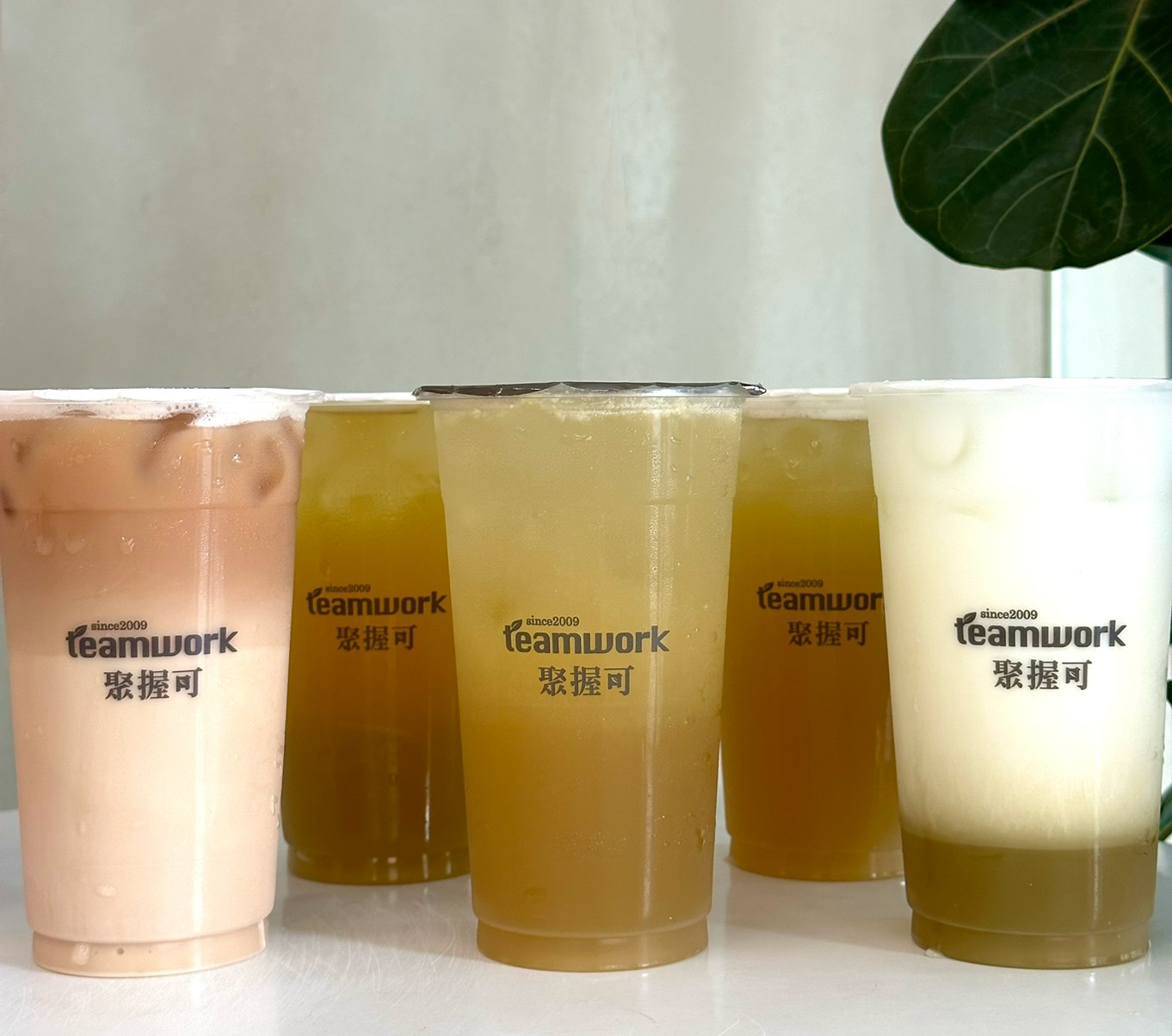 台南手搖飲|這家只有台南喝得到!聚握可茶飲.質感系甘蔗飲品|限量甘蔗凍口感脆啵|甘蔗牛奶必點!香濃柔綿超好喝♡台南手搖飲推薦 台南手搖飲|這家只有台南喝得到!聚握可茶飲.質感系甘蔗飲品|限量甘蔗凍口感脆啵|甘蔗牛奶必點!香濃柔綿超好喝♡台南手搖飲推薦